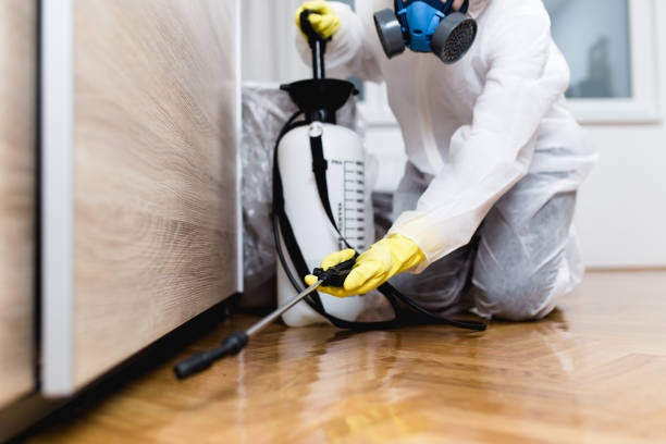 Flea Control Services in Cayucos, CA