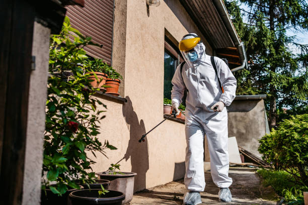Best Flea Control Services  in Yucos, CA