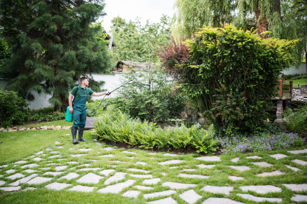 Best Best Pest Control Companies  in Yucos, CA