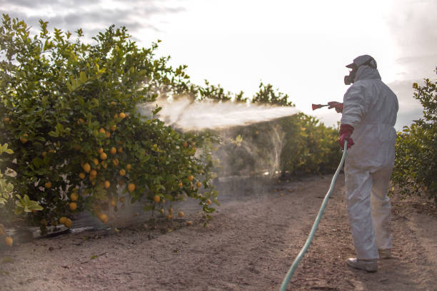 Best Exterminator Services  in Yucos, CA