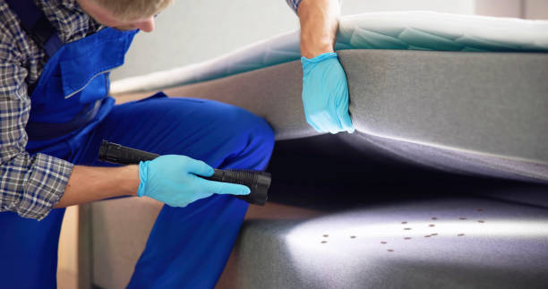 Best Affordable Pest Control Services  in Yucos, CA