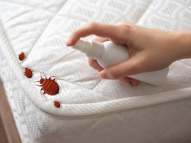 Best Pest Removal Services  in Yucos, CA