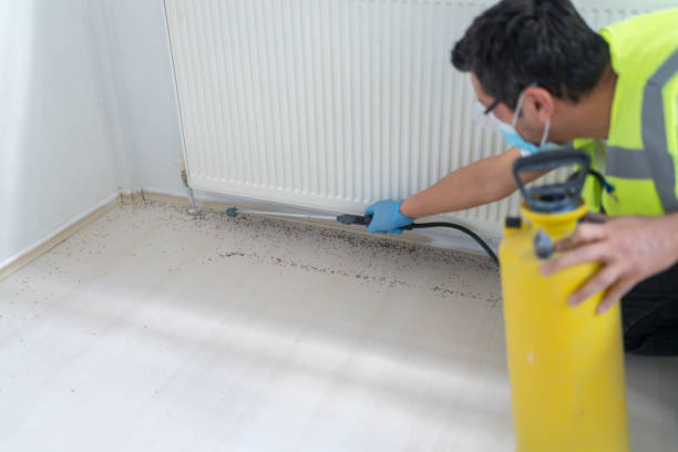 Best Pest Prevention Services  in Yucos, CA