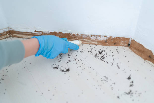 Best Best Pest Control Companies  in Yucos, CA